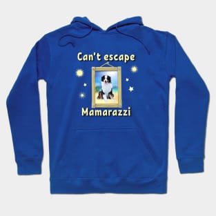 Can't escape Mamarazzi Australian Shepard Hoodie